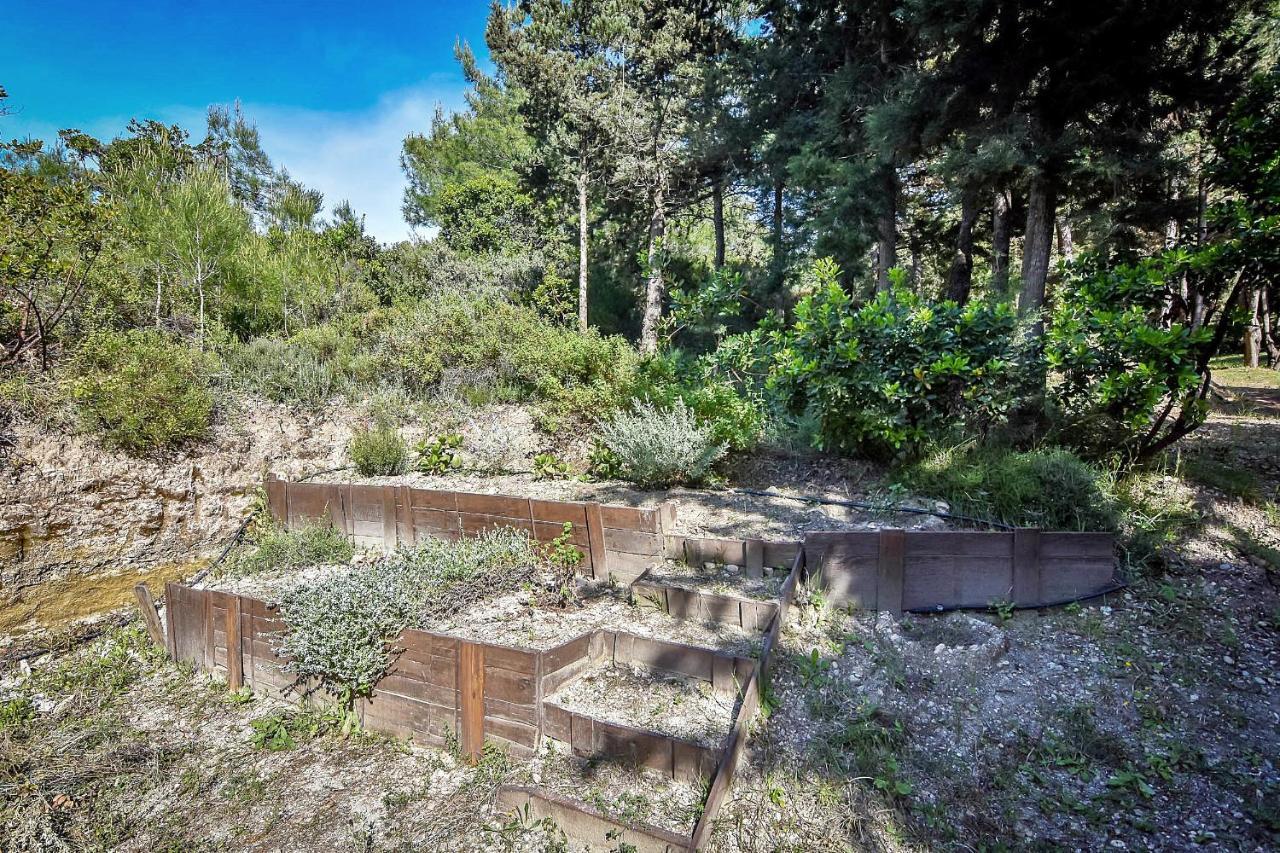 Drolma Ling Nature Cabins Theológos Exterior foto