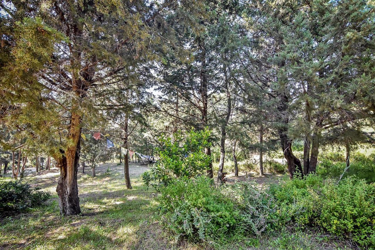 Drolma Ling Nature Cabins Theológos Exterior foto