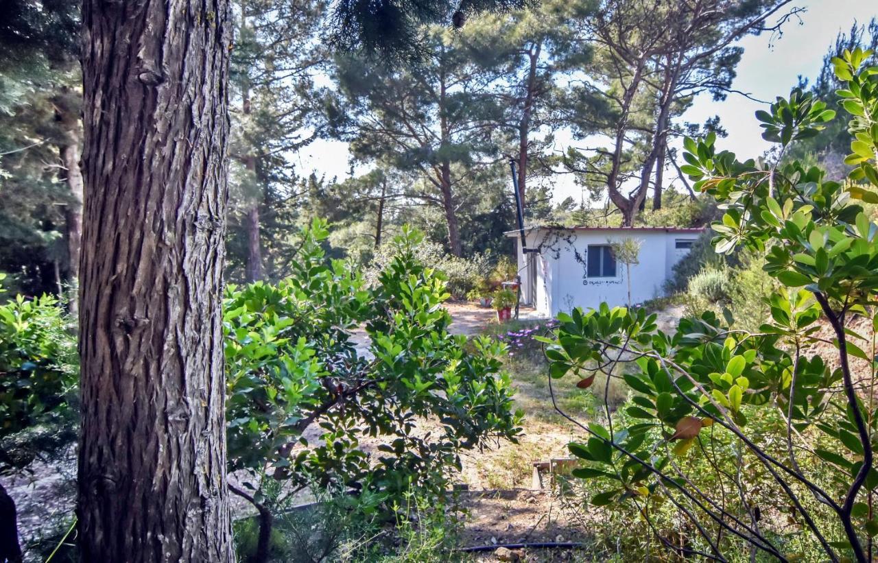 Drolma Ling Nature Cabins Theológos Exterior foto