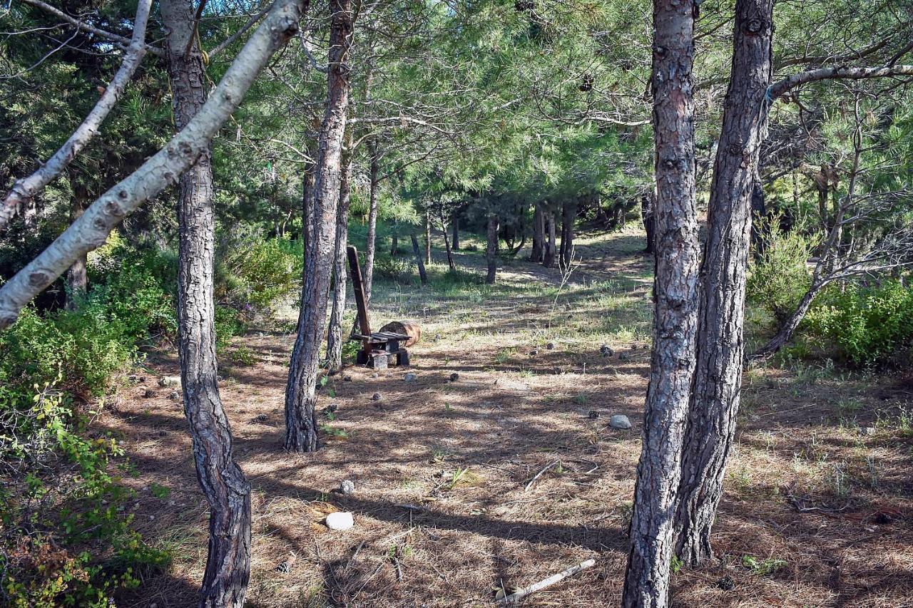 Drolma Ling Nature Cabins Theológos Exterior foto
