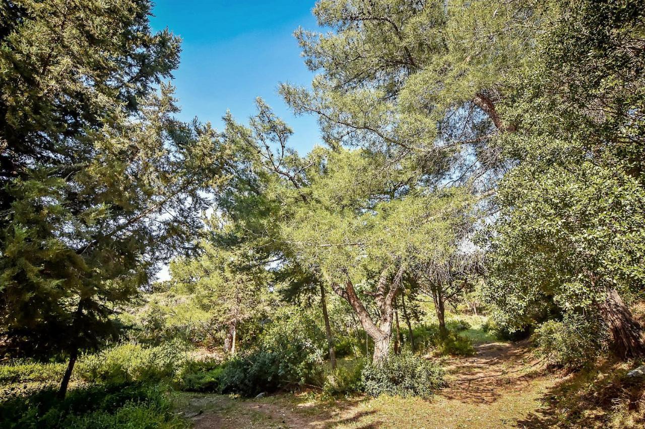 Drolma Ling Nature Cabins Theológos Exterior foto
