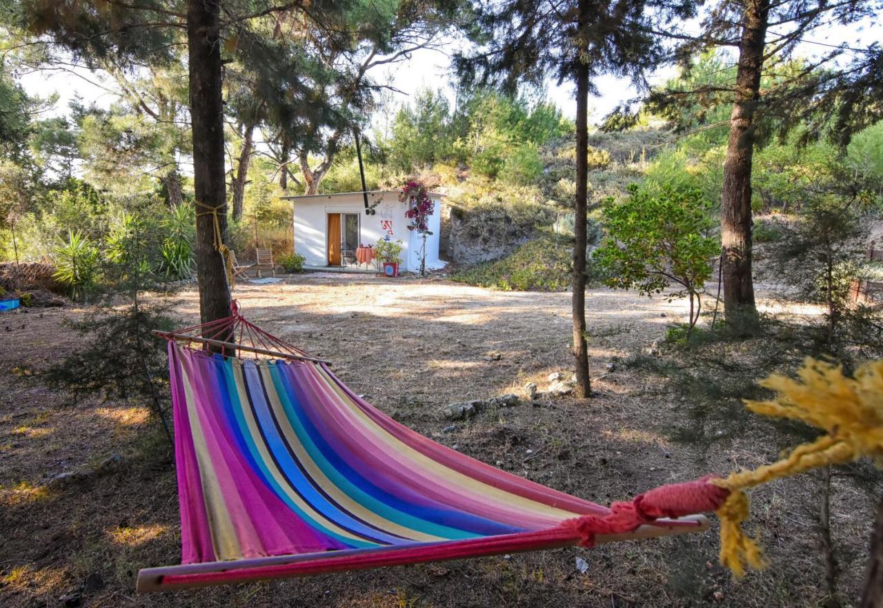 Drolma Ling Nature Cabins Theológos Exterior foto