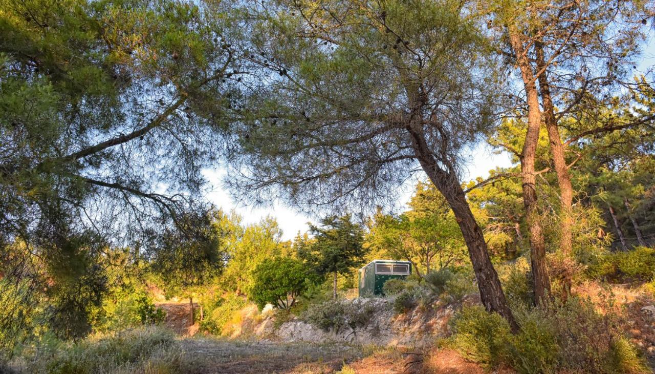 Drolma Ling Nature Cabins Theológos Exterior foto