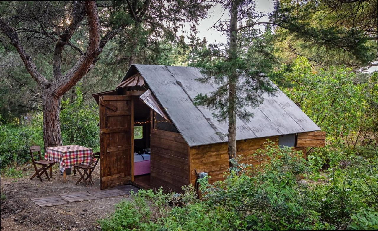 Drolma Ling Nature Cabins Theológos Exterior foto