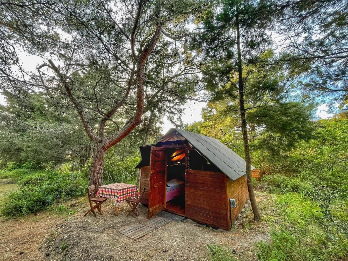 Drolma Ling Nature Cabins Theológos Exterior foto