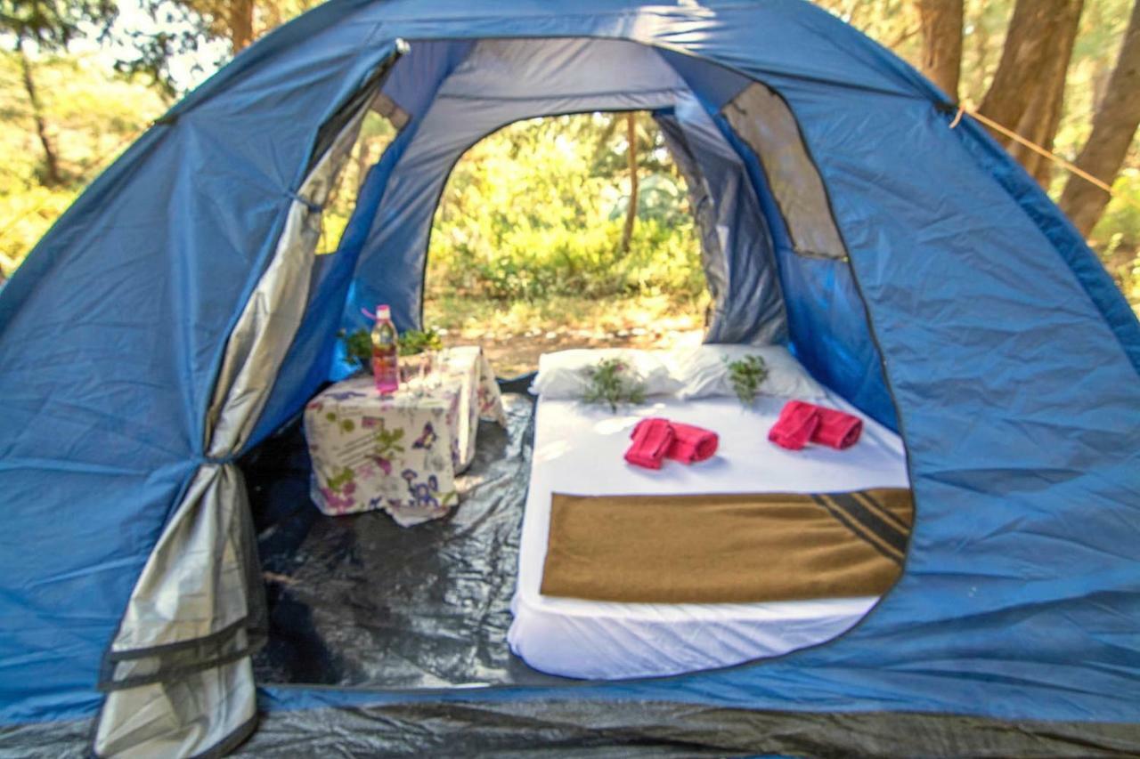 Drolma Ling Nature Cabins Theológos Exterior foto